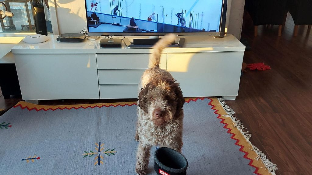 Lukijan kuva, jääkiekon olympiafinaali 7 (1)