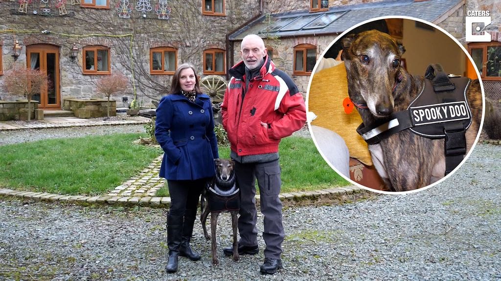 Helen ja Brian Sterling-Vete tutkivat Bond-koiransa kanssa paranormaaleja ilmiöitä.