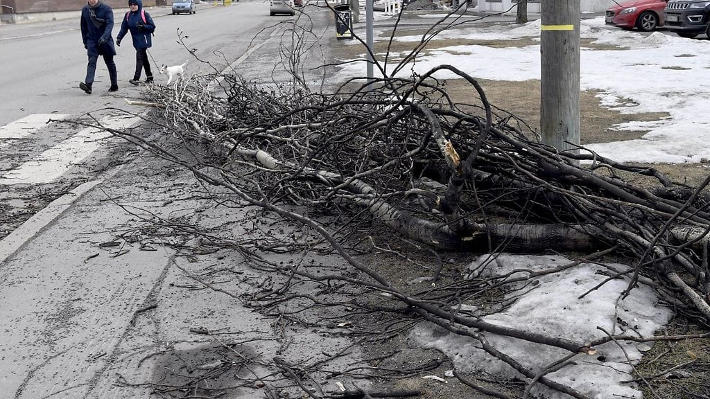 myrsky lehtikuva 26.3.