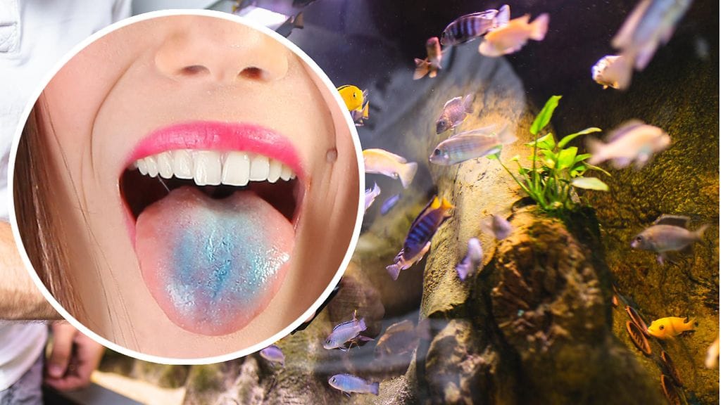 Someinfluensserit ylistävät metyleenisinisen käyttöä terveyden edistäjänä, mutta ammattilaiset ovat asiasta aivan eri mieltä.