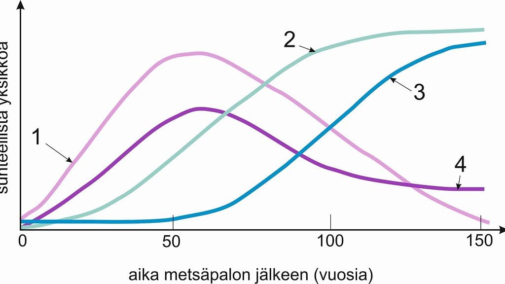 Ylioppilaskokeen graafi metsän sukkessiosta palon jälkeen