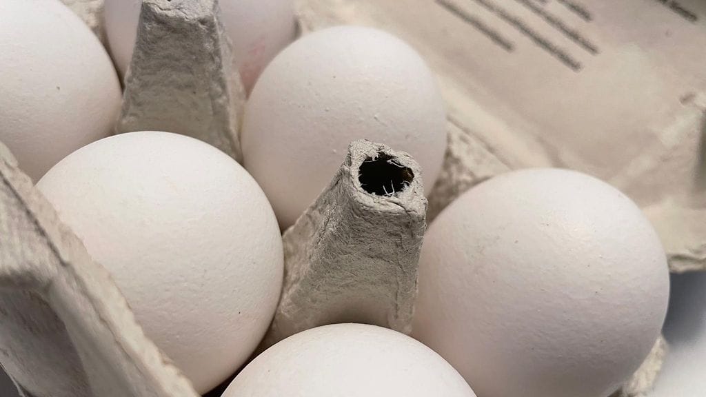Asiakkaita pyydetään hävittämään salmonellamunat talousjätteenä tai palauttamaan ostamansa tuotteet ostopaikkaan. Kuvituskuva.