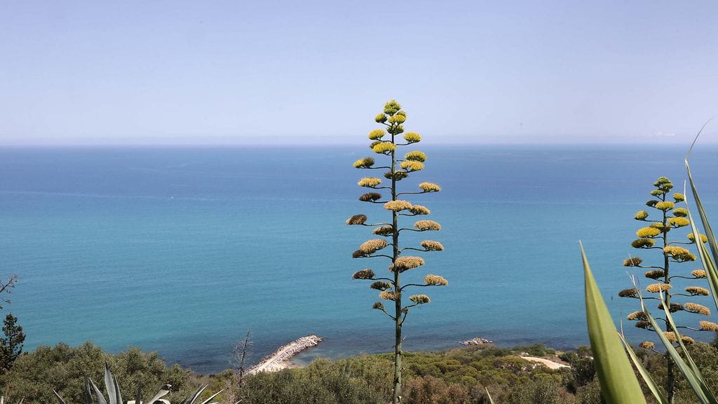 Uppoaminen tapahtui Tunisian rannikolla. Kuva ei liity tapaukseen.