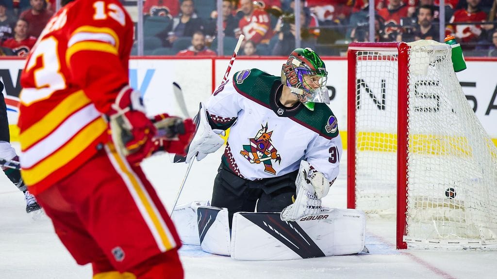 Harri Säterin loppukausi NHL:ssä on ollut painajaismainen.