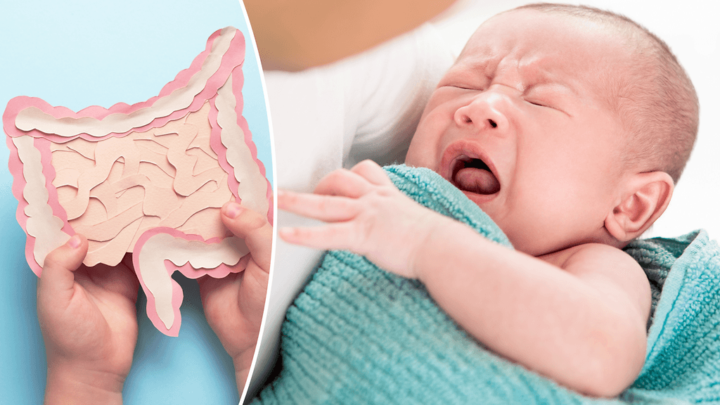 Jo yksi antibioottikuuri vaikuttaa pikkulapsen suoliston mikrobistoon.