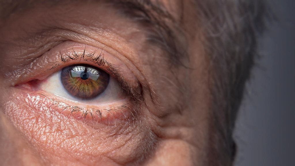 Muutokset pupillien koossa voivat kertoa alkavasta muistisairaudesta. Kuvituskuva.