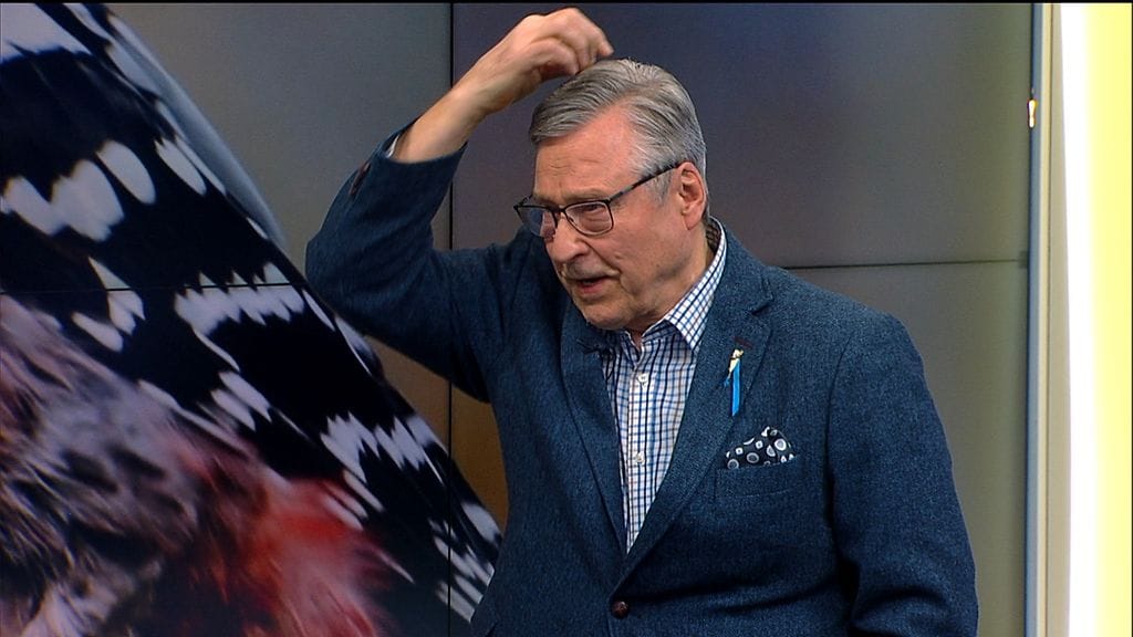 Pertti Salolainen on pitkän linjan luonnonsuojelija ja -kuvaaja.