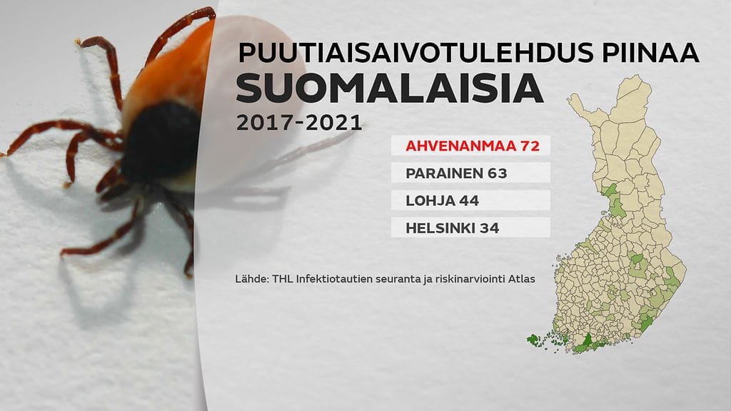 Puutiaiskuva1
