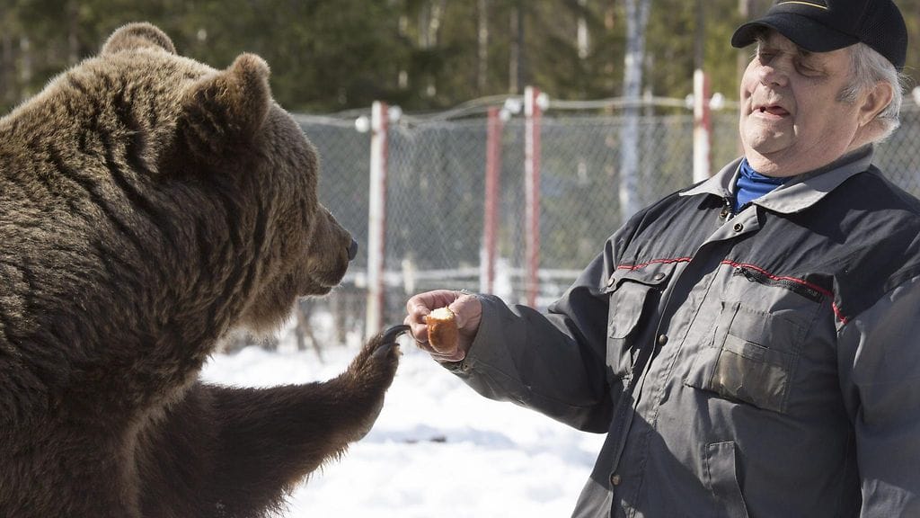 Syyttäjä vaatii Sulo Karjalaiselle vähintään kymmenen kuukauden ehdollista vankeusrangaistusta