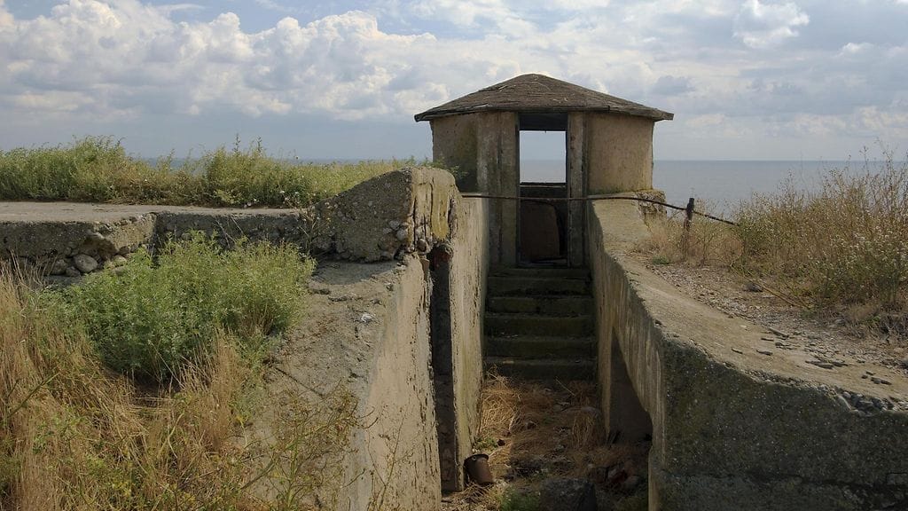 AOP_10.7481869a_kaarmesaari