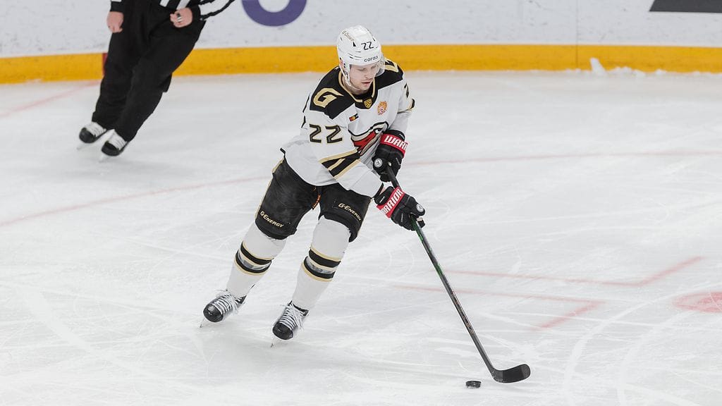 Ville Pokka pelasi neljättä kauttaan KHL:ssä ja Avangard Omskissa.