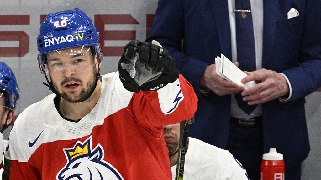 Tshekin Tomas Hertlin osumaa tarkasteltiin videolta.