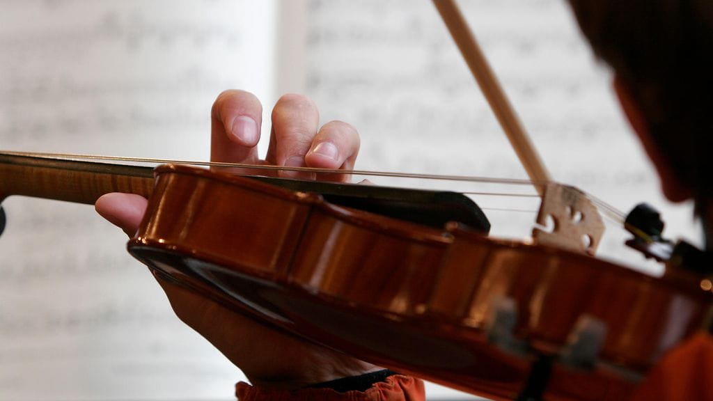 Viulusti joutui kuljettamaan miljoonaviulunsa ilman koteloa Suomesta Saksaan.
