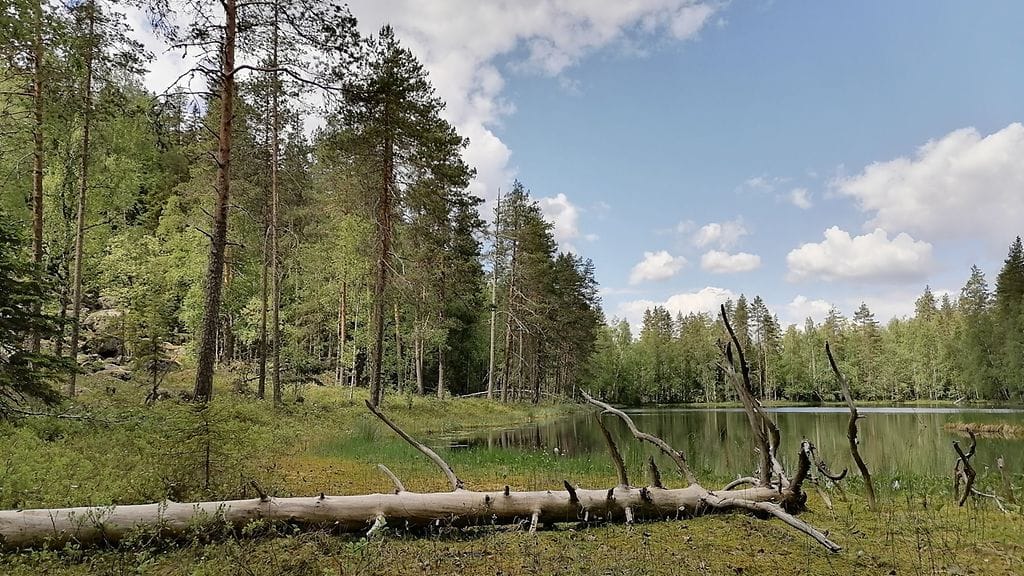 Selvitys korostaa, että ilmastonmuutosta ja sen vaikutusta ei voida torjua suojelulla.