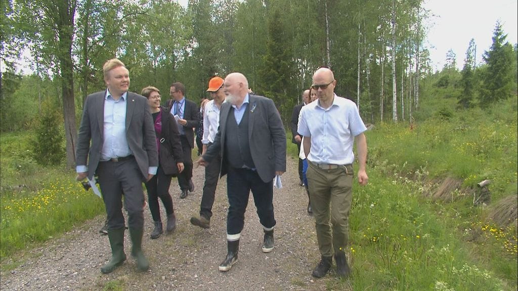Frans Timmermans, EU-komissio, metsä