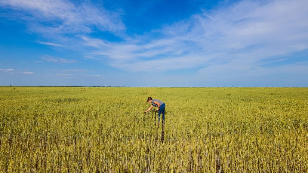 Venäjää vastaan taistelevalla Ukrainalla on ollut EU:n kanssa vapaakauppasopimus, joka on sallinut suurelle osalle ukrainalaistuotteista tullivapauden EU:ssa.