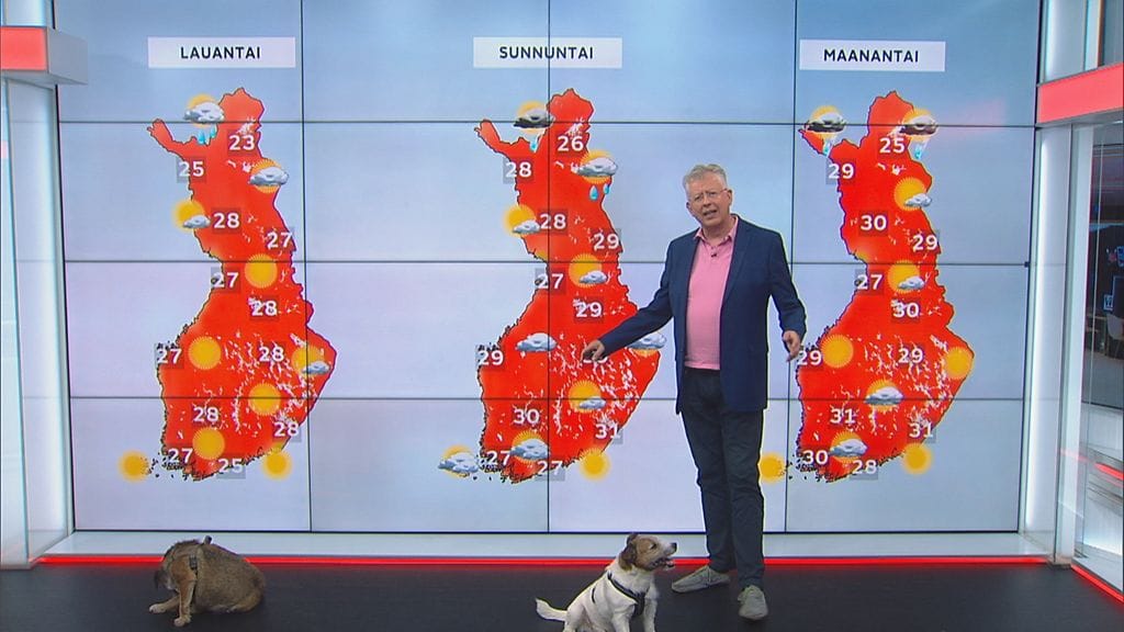 OMA: pekka pouta, frezzo, sini, juhannus sää