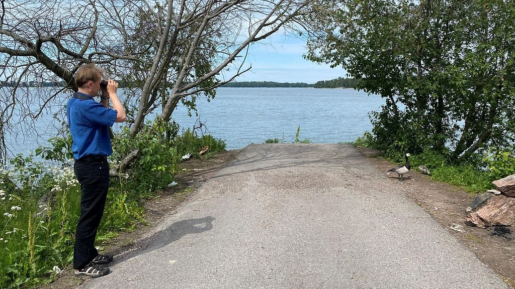 Teemu Lehtiniemi, BirdLife Suomi