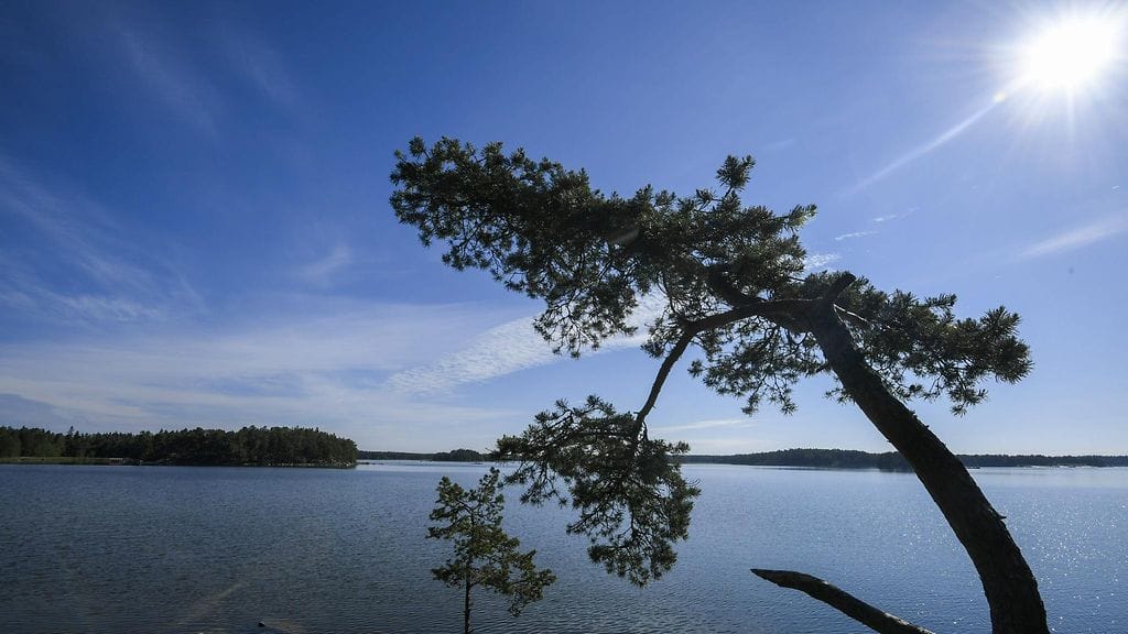 Lauantaina mitattiin Kuopiossa tämän kesän toistaiseksi korkein lämpötila 30,5 astetta.
