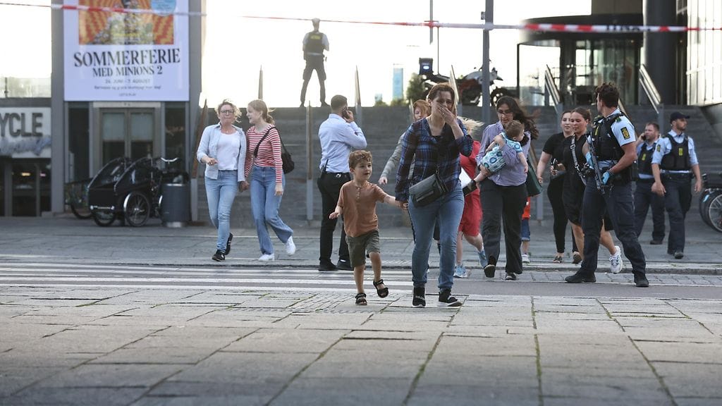 AOP Ammuskelu kööpenhamina (1)