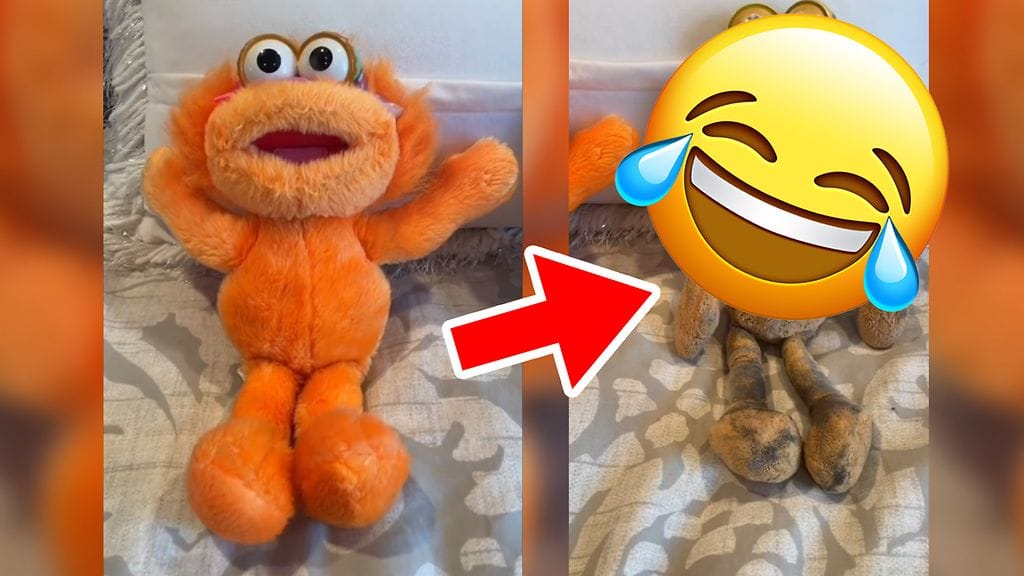 Zoen leluvideo keräsi 10 miljoonaa katsojaa.