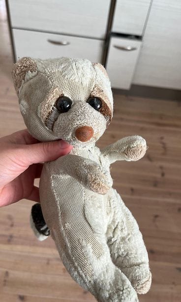 Kooko on 34-vuotias. Aikoinaan se oli pitkäkarvainen.