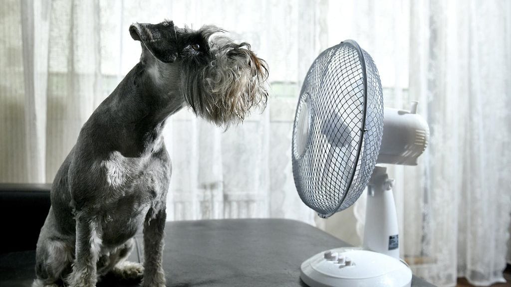 Viikonloppuna sää viilenee suuressa osassa maata.