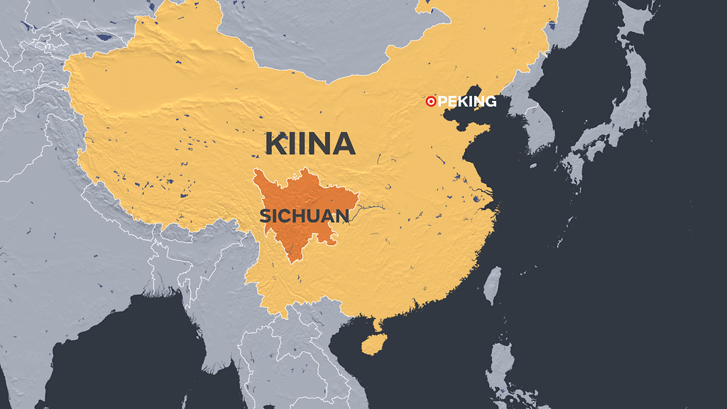 Uhri oli kahden lapsen äiti. Oikeus totesi naisen tappaneella miehellä olleen väkivaltainen historia ennestään naista kohtaan.