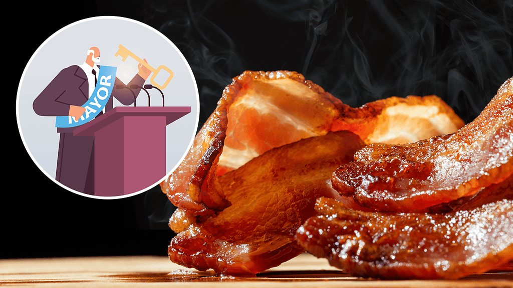 Pekonikaupunki etsii itselleen pormestaria.