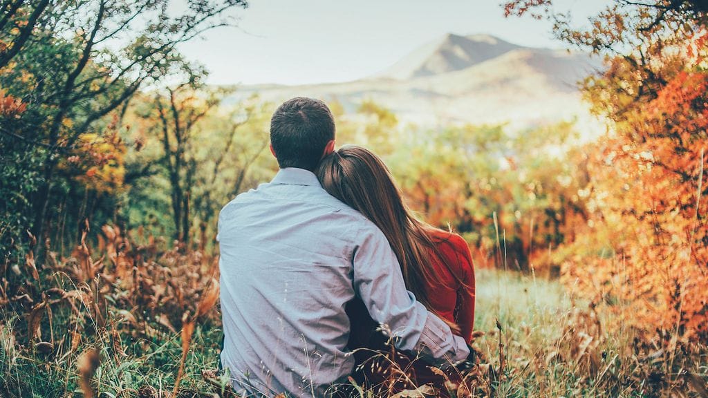 Sinkkuskorpioneilla ei ole puutetta seurasta...