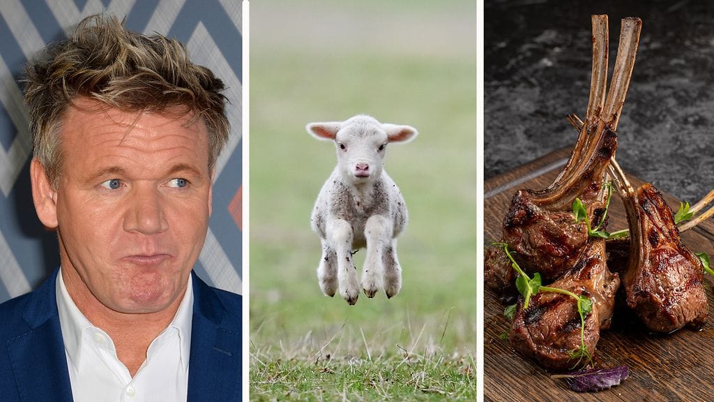 Gordon Ramsay Karitsa