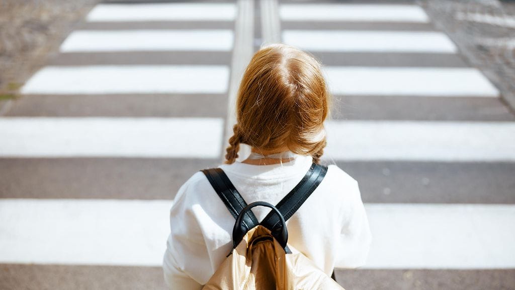 shutterstock_2019244349