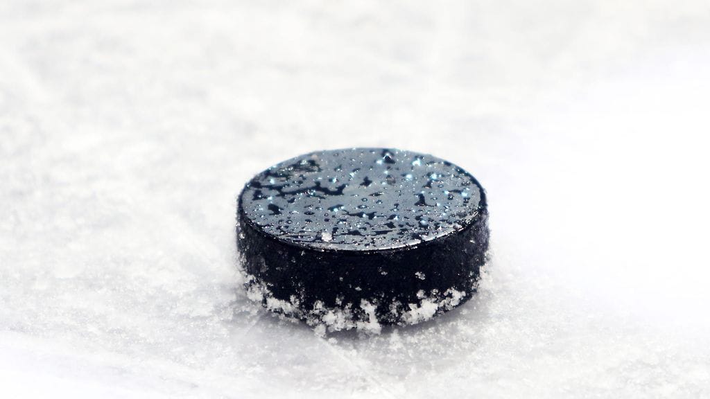 Latvialaisseura HK Zemgale pelaa ensi kaudella Suomen toiseksi korkeimmalla sarjatasolla.