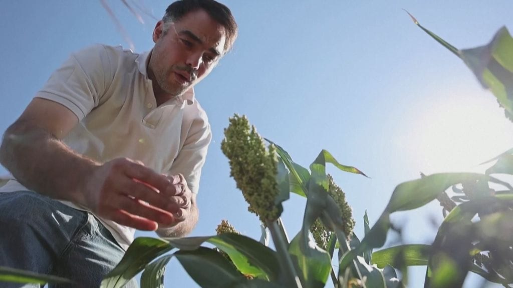 1808-DURRA_frame_954