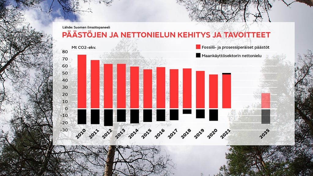 Grafiikka, hiilinielut ja päästöt