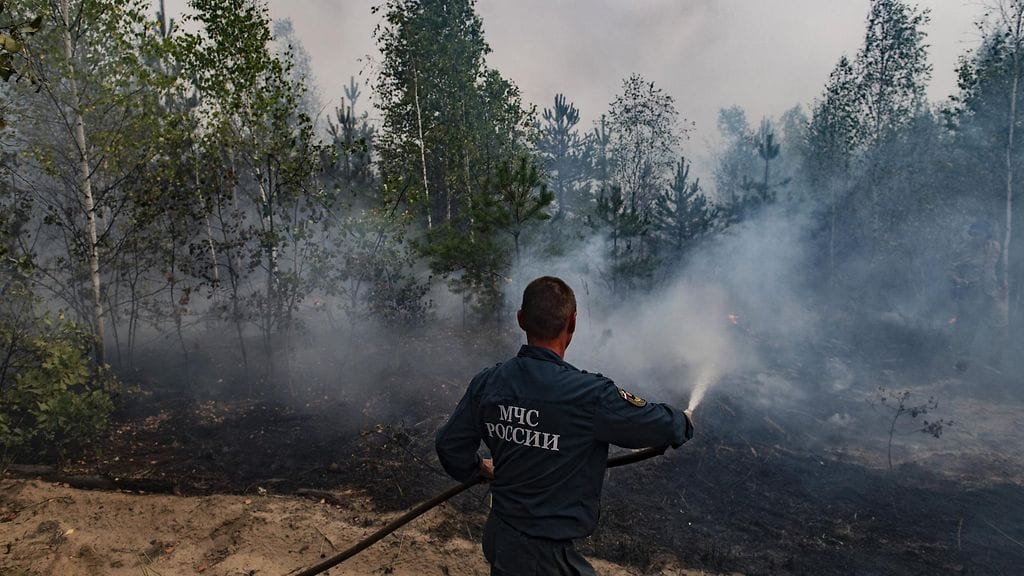 Ympäristöjärjestö Greenpeacen tarkastelemien satelliittikuvien mukaan ainakin 11 000 hehtaarin kokoinen alue on tuhoutunut palossa.