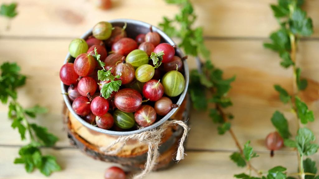 shutterstock_1771338080