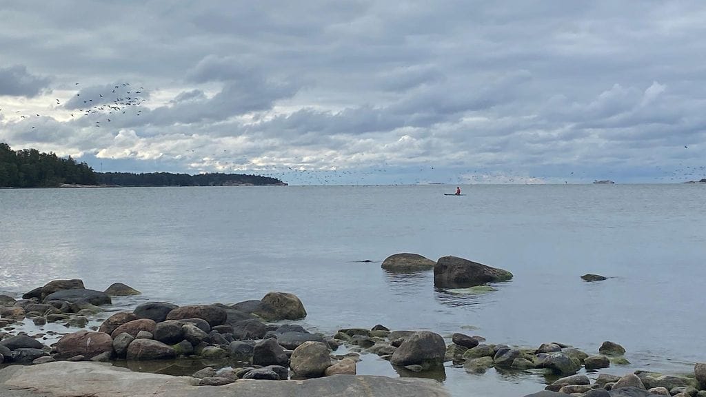 Hevosenkenkälahti, Lauttasaari