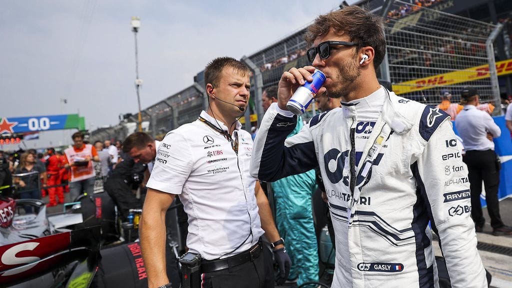 Pierre Gasly on pian Alpinen mies.