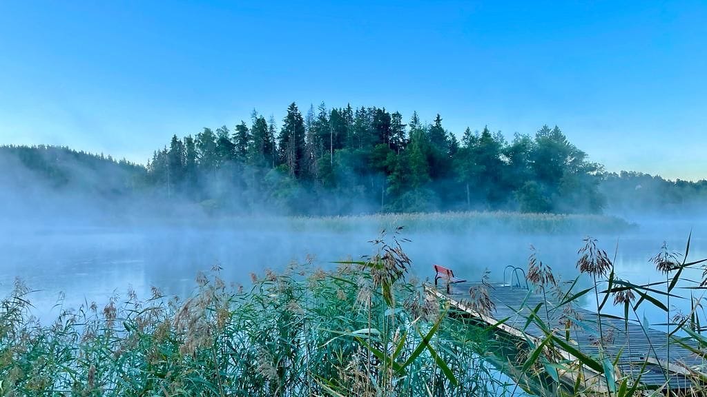 Syksy kuva sumu usva