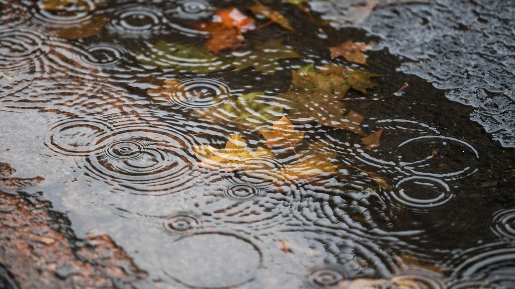 Sää on Lappia lukuun ottamatta harmaa