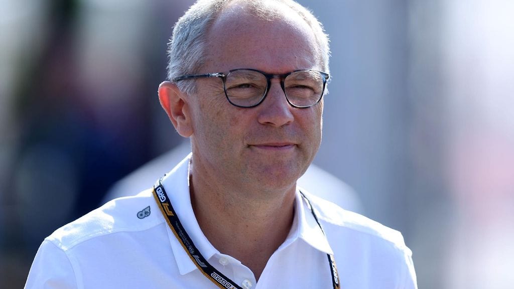 Domenicalin ehdotus ei saa varauksetonta ihailua.