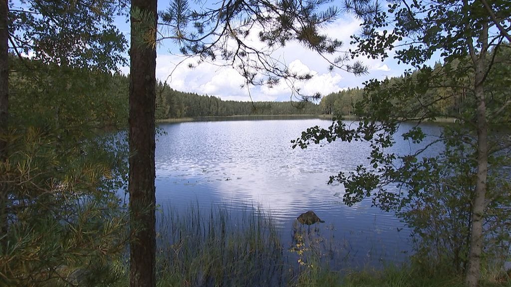 Kaunis kuva Nuuksiosta