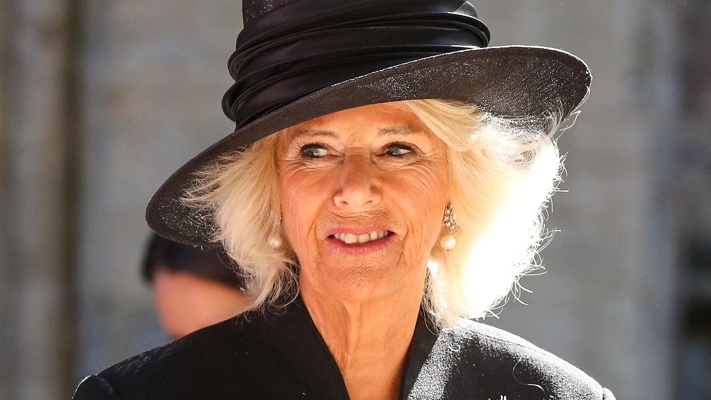 Kuningatarpuoliso Camillalla on korona.