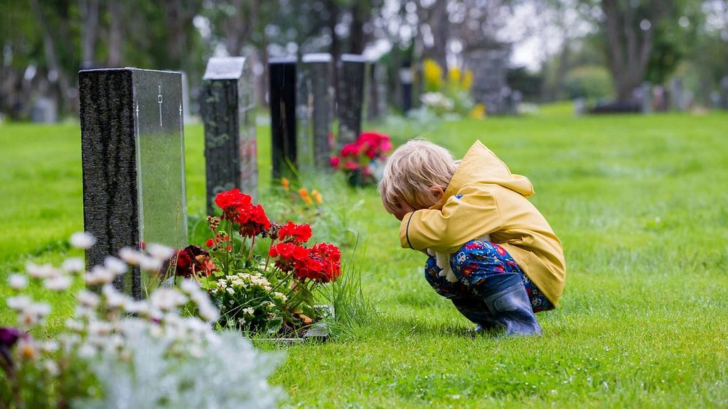 shutterstock_2032684019