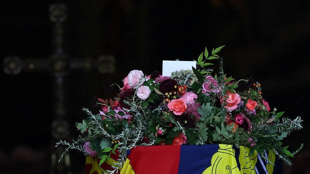 AOP elisabetin arkku