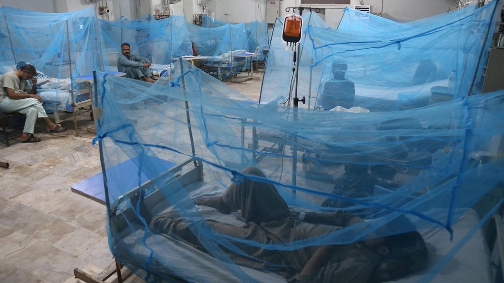 Pakistanissa kärsitään dengue-kuumetapauksista tulvien jälkeen.