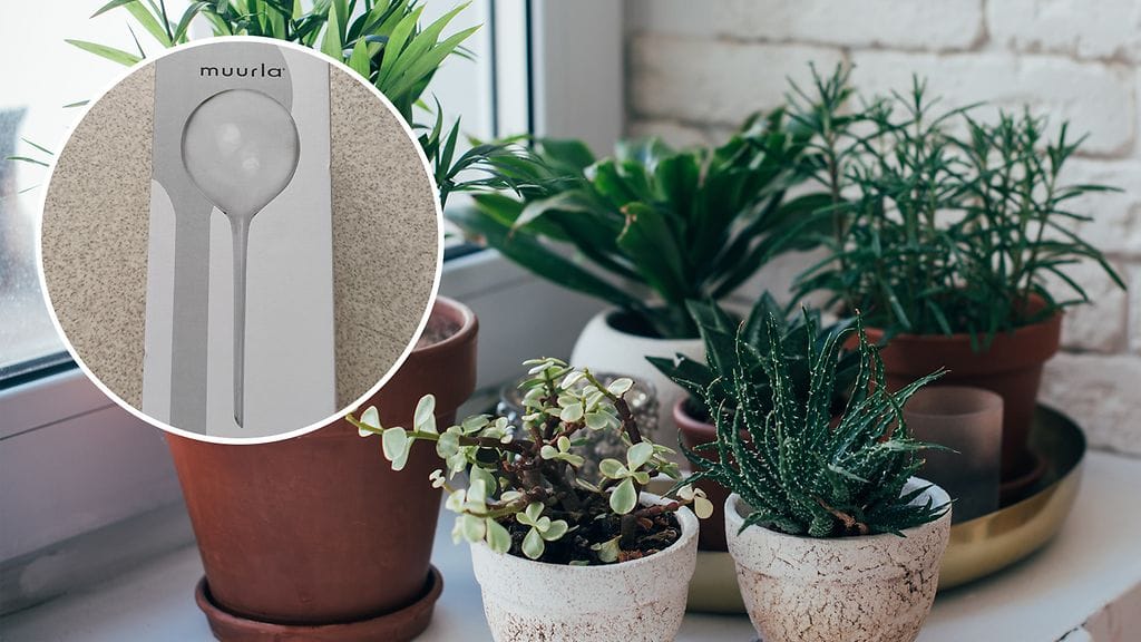 Kasteluvahti tulee poistaa käytöstä välittömästi.