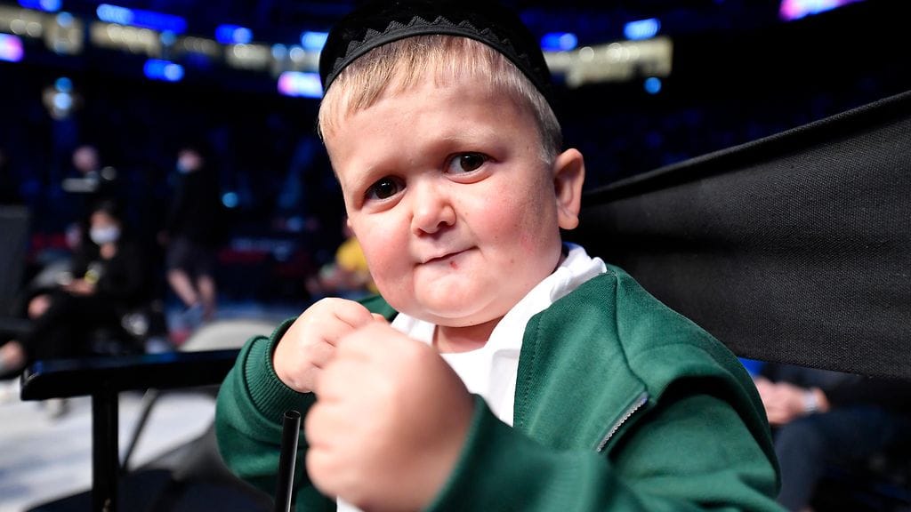 Hasbulla Magomedov on ottelemassa UFC:ssä.