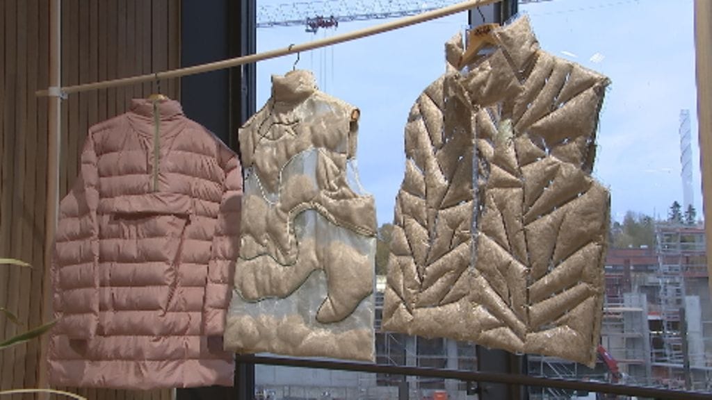 osmankäämi, toppatakit